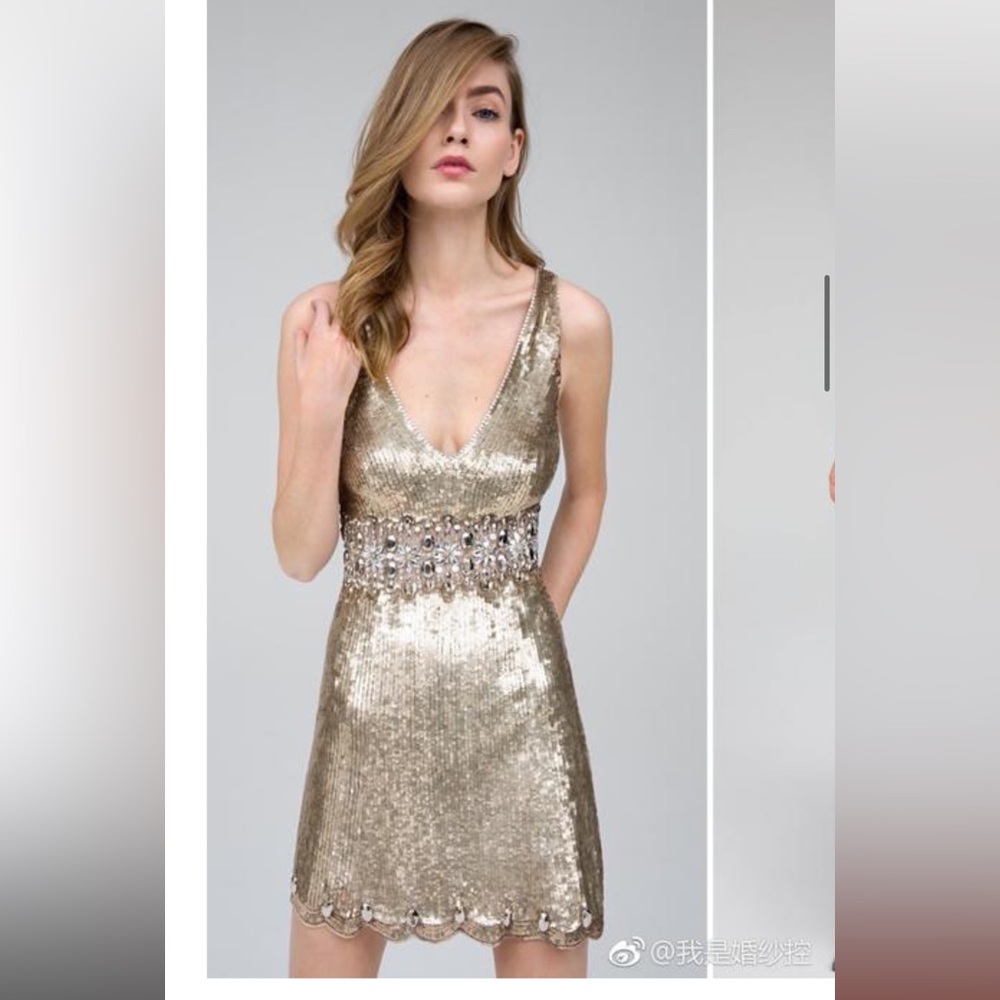 NWT Jenny Packham Effie mini dress sz10